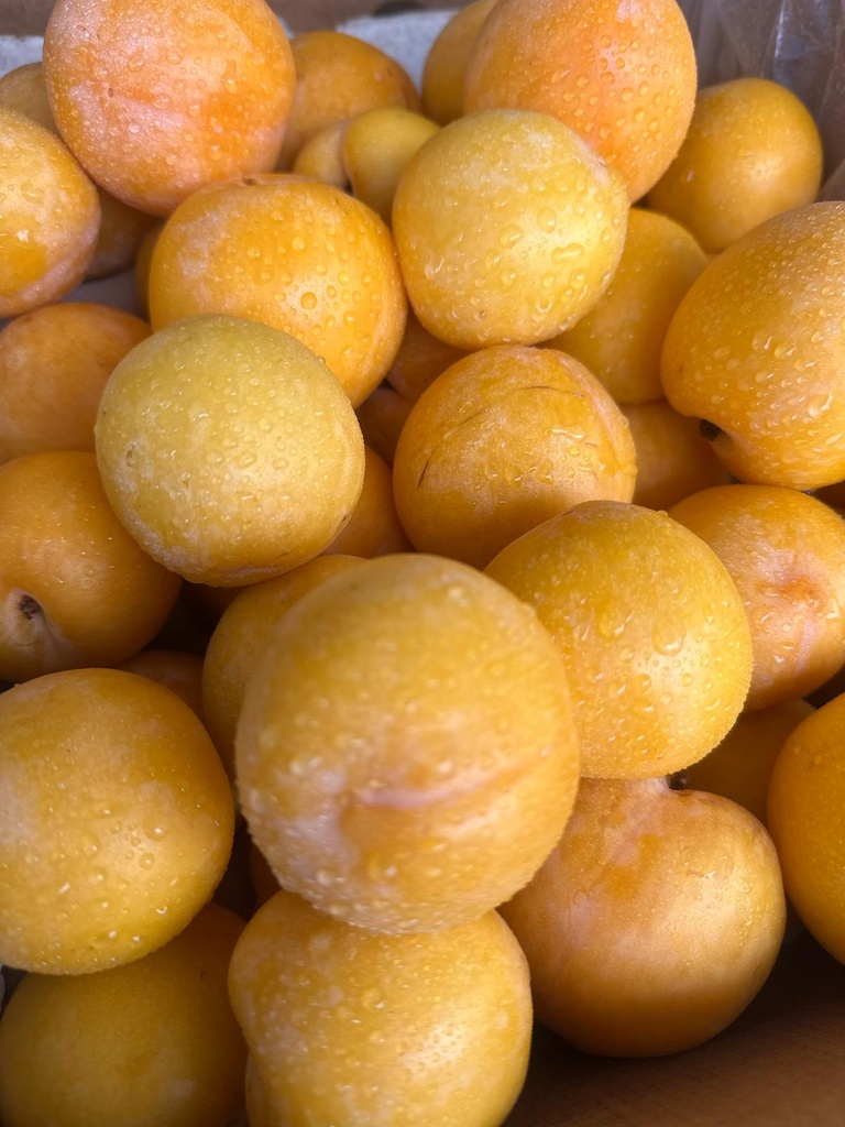 Ameixa Amarela